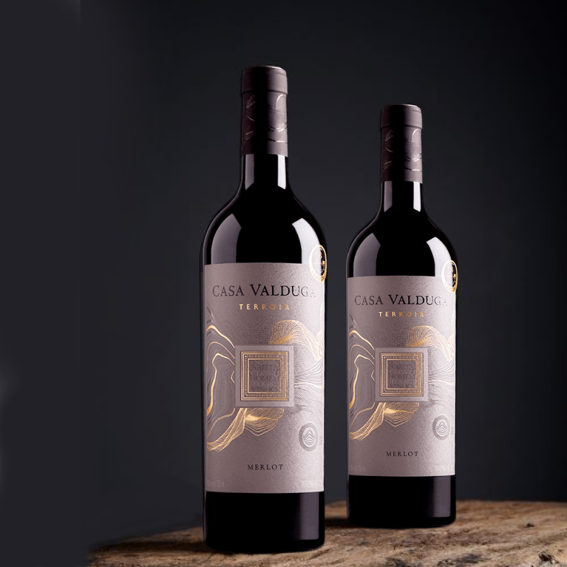 Vinho Tinto Terroir Merlot Casa Valduga 750ml - Image 3