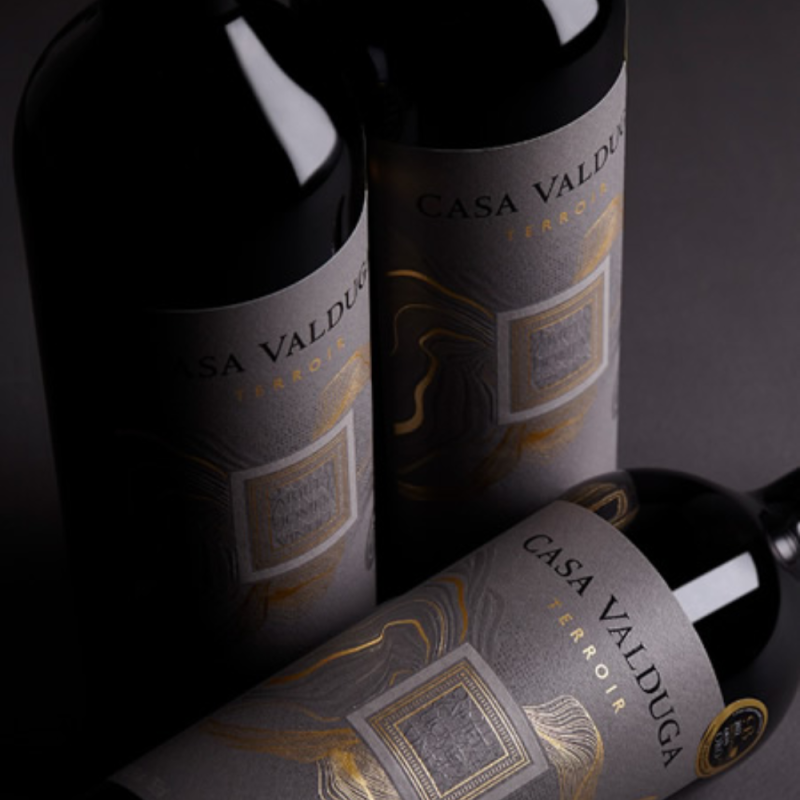 Vinho Tinto Terroir Merlot Casa Valduga 750ml - Image 4